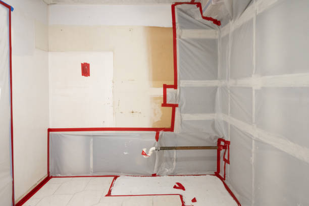 Best Residential Mold Inspection & Testing  in Emerson, GA