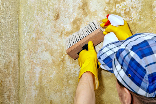 Best Dehumidification Services  in Emerson, GA