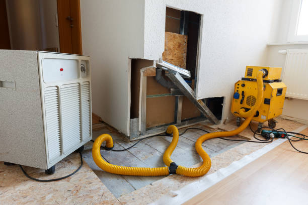 Best Basement Mold Removal  in Emerson, GA