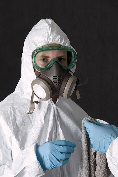 Best Crawl Space Mold Remediation  in Emerson, GA